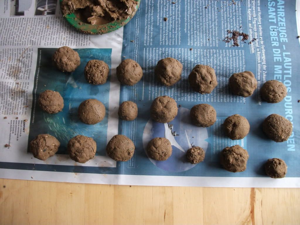 Seed bombs