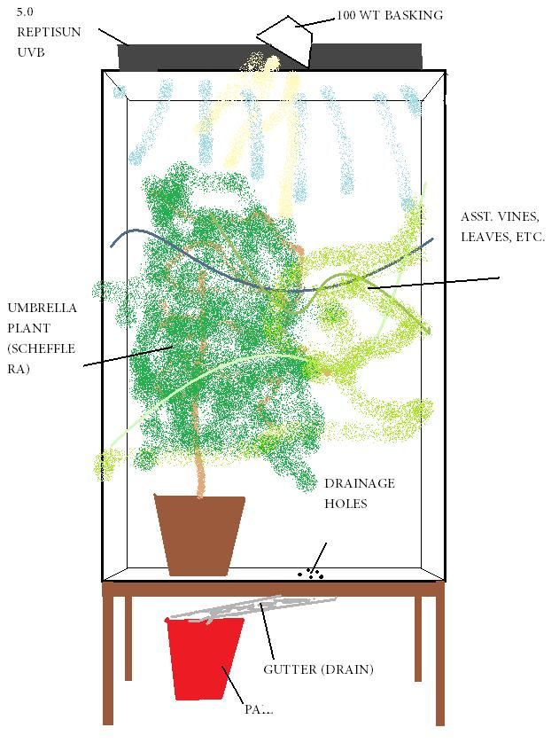 chameleon cage design