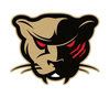 Canton Cougar Fan Avatar