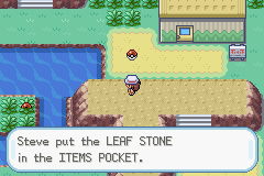 pokemon leaf green where is the babysitter